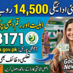 8171.bisp.gov.pk