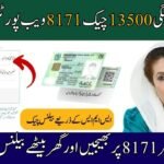 BISP Payment 13500 Check Through 8171 Web Portal